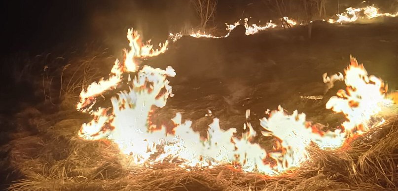 Pożar traw w Rejowcu Fabrycznym. Policjanci zapobiegli tragedii