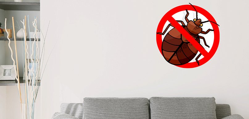 Jak wyglądają ukąszenia pluskiew i jak je zwalczyć?