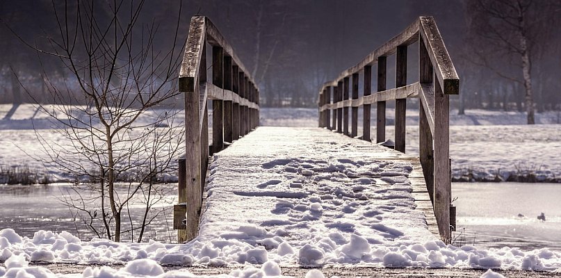 Leżała 5 godzin na mrozie! Policjanci w Trzeszczanach znaleźli wyziębioną 32-latkę - 368971