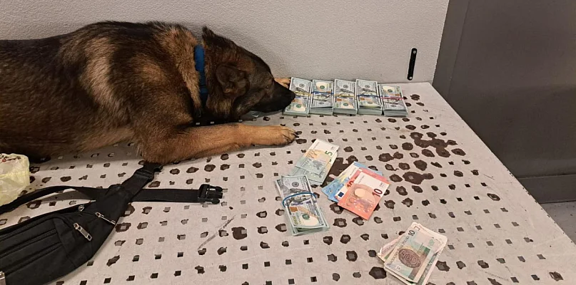 W Hrubieszowie KAS ujawniła niezgłoszoną gotówkę na granicy - 368998