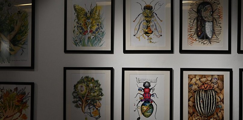 Las pełen opowieści – wernisaż Agnieszki Rzeźniak SzurSzur w Biłgoraju