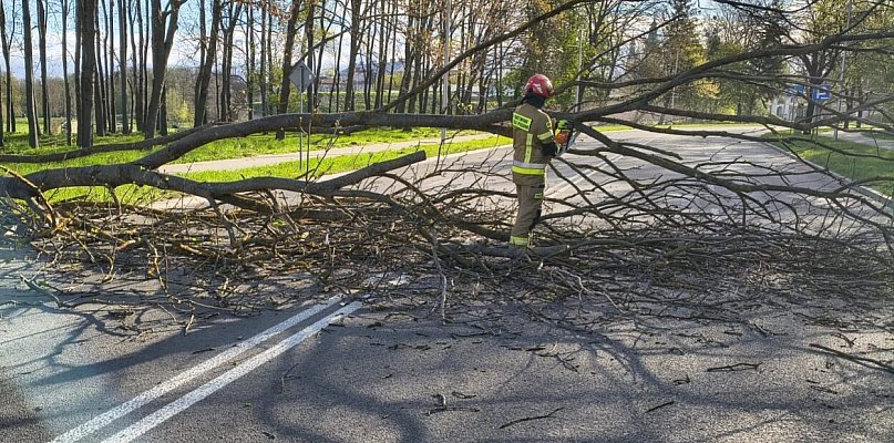 Silny wiatr nad Zamojszczyzną. Strażacy interweniowali 27 razy