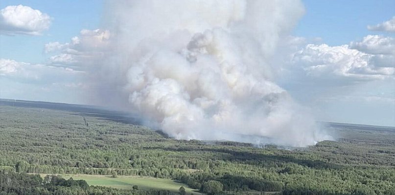 Płoną lasy na Mazowszu. Pożar jak  w Puszczy Solskiej
