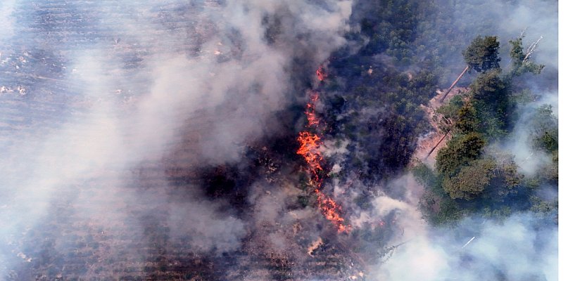 Pożar w lesie pod Oleszycami. Latały Dromadery i śmigłowiec