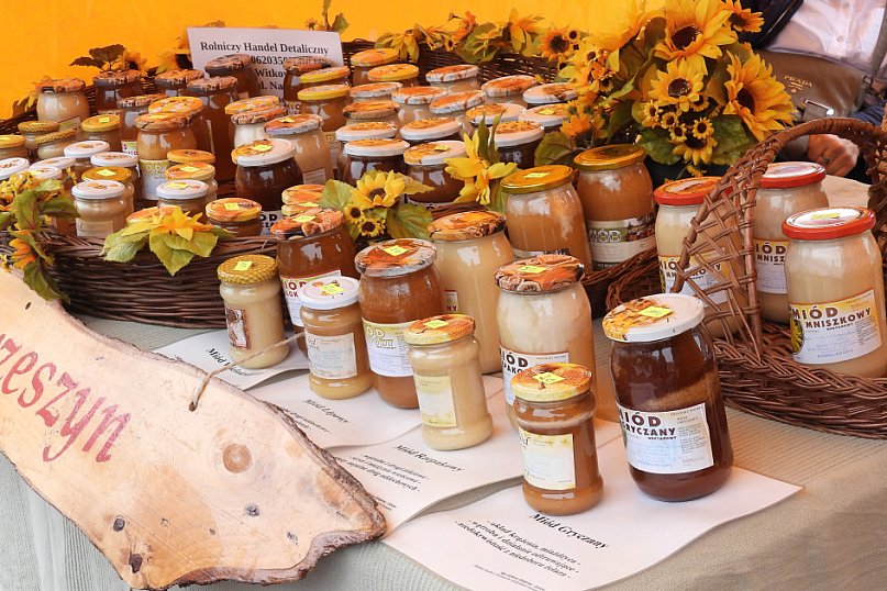 Festiwal Żywności Wolnej od GMO w Zamościu