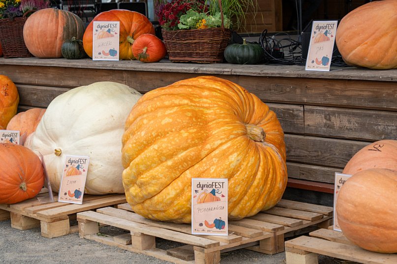 DyniaFEST &amp; Active Roztocze 2025