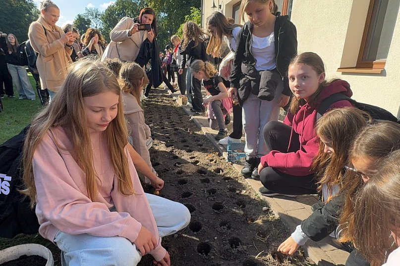 Pola Nadziei posadzone przy Hospicjum Santa Galla