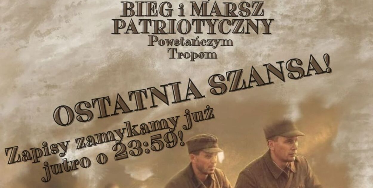 Materiał organizatora