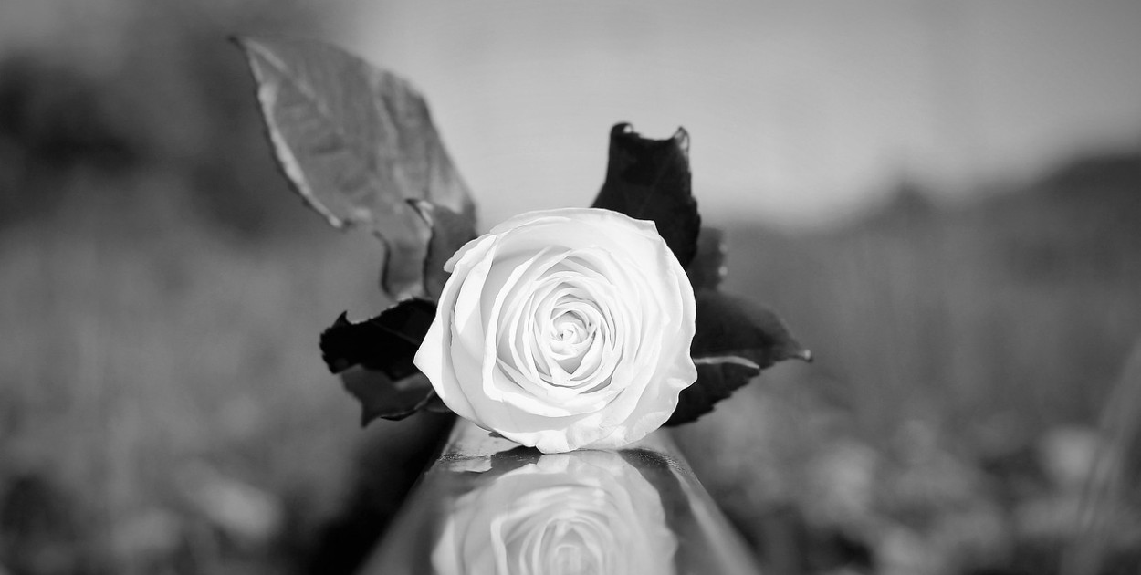 Obraz Goran Horvat z Pixabay