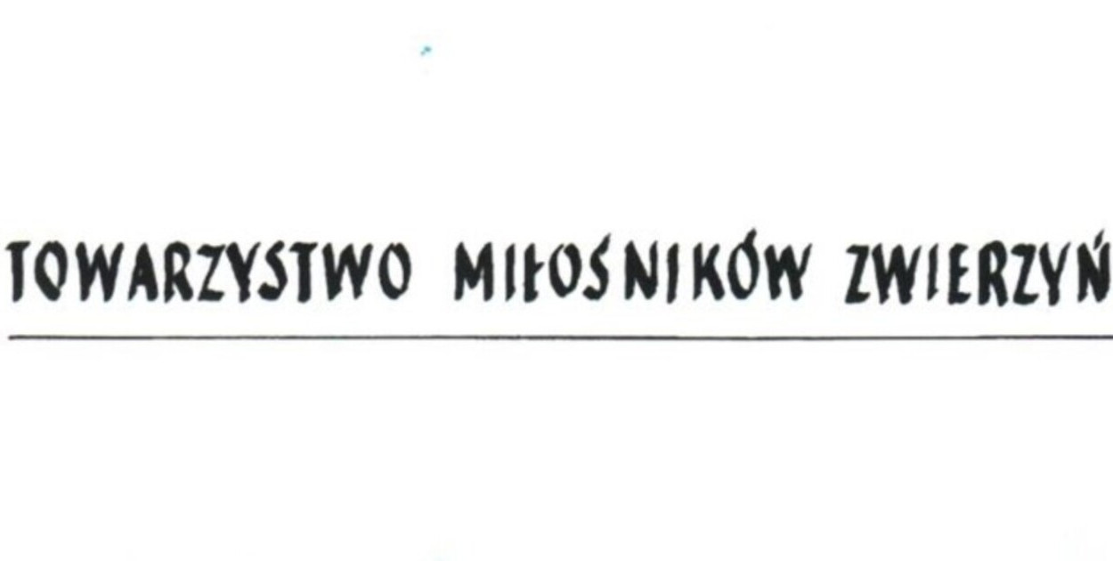 Materiał organizatora
