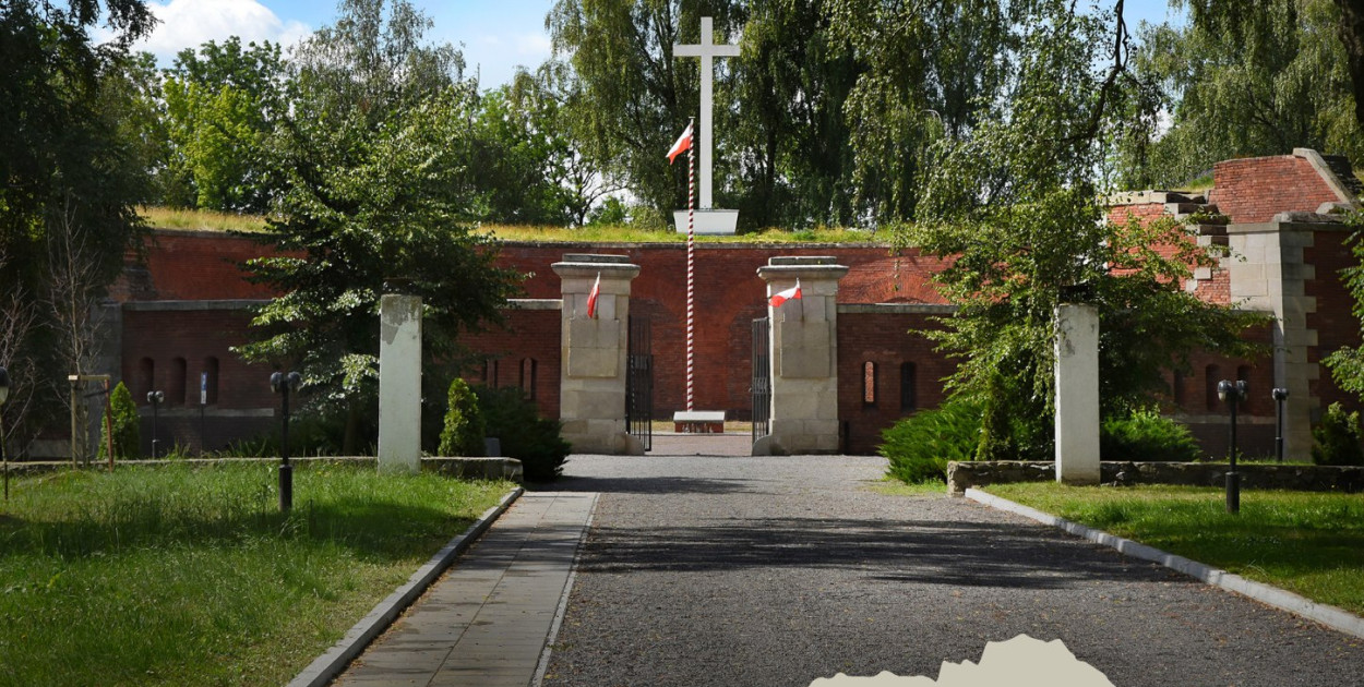 Materiał organizatora