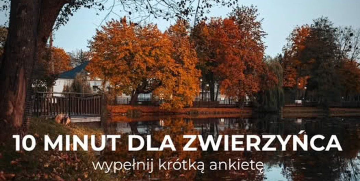 Materiał organizatora