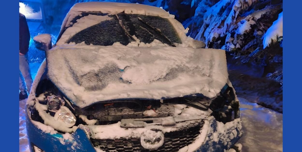 Uszkodzony samochód przez powalone drzewo