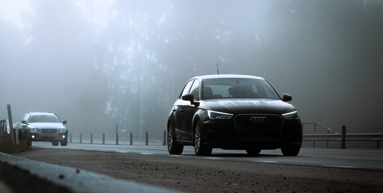 Image by Jonas Hasselqvist from Pixabay.com