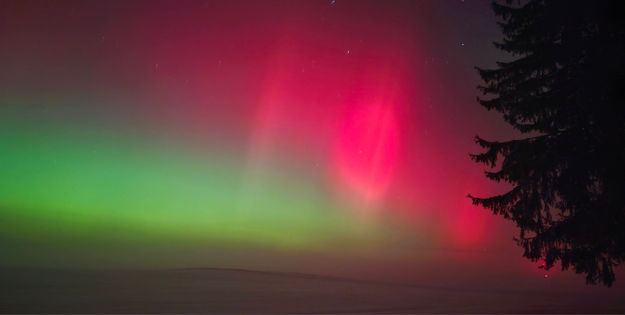 Foto: Sebastian Tucki