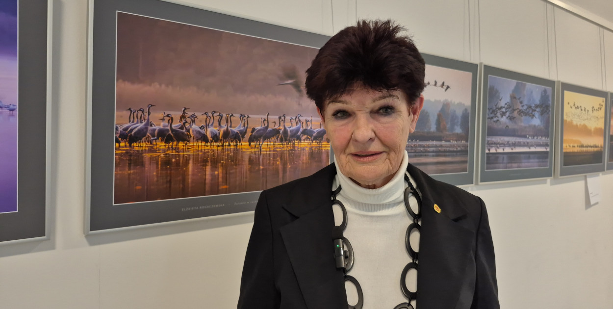 Rogaczewska-Czępińska otworzyła Galerię Fotografii AZ