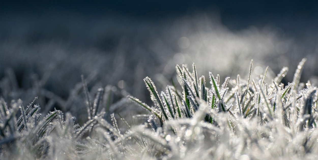 Mróz sprawił, że zamknięto ponad 300 szkół