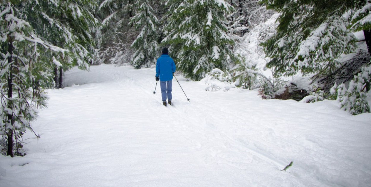 Zamość. Bezpłatna trasa narciarska – dla dzieci i dorosłych