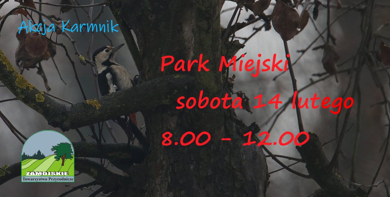 Akcja Karmnik 14 lutego w Parku Miejskim