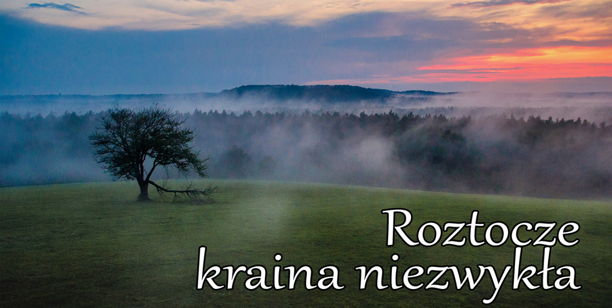 Roztocze – kraina niezwykła. Wystawa fotografii Ewy Marszalec