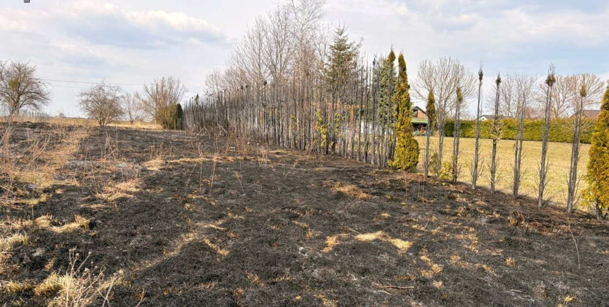 Pożar traw w gminie Nielisz. Ogień zniszczył działki