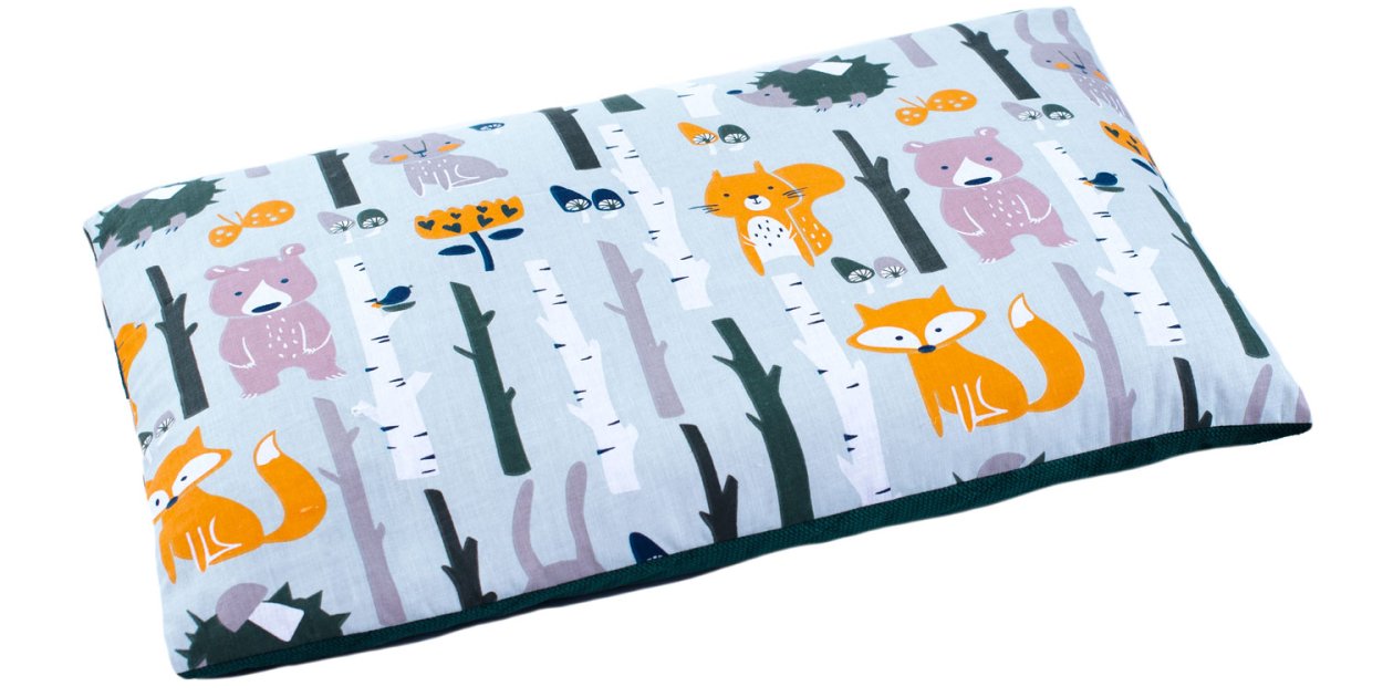 Poduszka z łuską gryki - dlaczego warto nią zastąpić tradycyjną poduszkę?